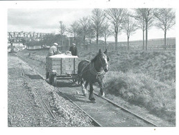 Postcard Devon Plymouth Reproduction Postcards Lee Moor Tramway  In 1959 - Plymouth