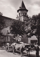 64, Ainhoa, Un Attelage Basque Devant L'Eglise - Ainhoa