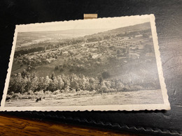 Stoumont Borgoumont La Gleize 2 Carte Photo  Photographe Gaston Fassotte Cliché Pour Carte Postale - Stoumont