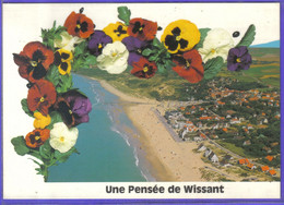 Carte Postale 62. Wissant  Très Beau Plan - Wissant