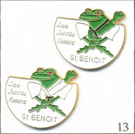 LOT 2 Pin's Art Martial / Club De Judo, Jujitsu Et Karaté De St Benoît (86) Avec Grenouille. Est. Arc En Ciel. T918-13 - Judo
