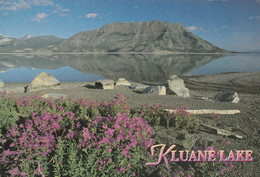 Yukon Canada Kluane National Park's Sheep Mountain Is Reflected In The Calm Morning Waters Of Kluane Lake - Yukon