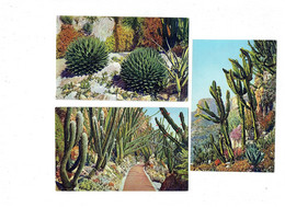 Lot 3 Cpa - MONACO - Jardin Exotique - ROCHER - Cactus AGAVE ALOES - Cactussen