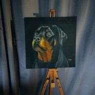 TABLEAU Chien ROTTWEILER Peinture Acrylique Sur Toile Signé N.Petry - Acryl