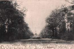 Camp De Beverloo - Avenue De L'Impératrice Charlotte - Leopoldsburg (Kamp Van Beverloo)