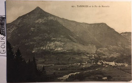 Cpa, 74 Haute Savoie, TANINGES Et Le Pic De Marcelly, éd Pittier, Non écrite - Taninges