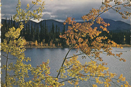 Canada Yukon Territory The Tranquility Of Marsh Lake Is A Contrast To The Bustle Of The Gold Rush Of '98. - Yukon