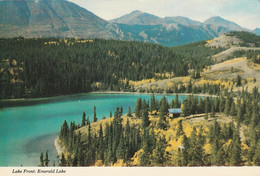 Canada Yukon Emerald Lake On The Way To Skagway, Alaska From Whitehorse - Yukon