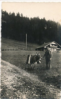 CPM -11990 -La Franche-Comté Pittoresque - La Descente Du Lait Depuis Les Fermes (âne)-Envoi Gratuit - Franche-Comté