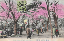 Japon, Japan, Tokyo, Tokio, Cherry Blossom At Yueno Park, Animation,1909, Stamp ,2 Scans - Tokyo