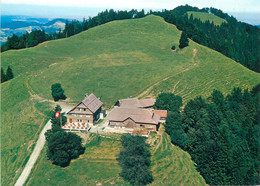 Postcard Switzerland Alp Scheidegg Aerial Schnyder Steuble - Egg