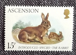 ASCENSION Lapins, Lapin, Rabbit, Conejo. 1 Valeur Dentelée ** Neuf Sans Charnière - Konijnen