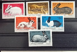 BULGARIE Lapins, Lapin, Rabbit, Conejo. Yvert 2993/98 ** Neuf Sans Charnière DENTELE - Conejos