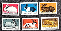 BULGARIE Lapins, Lapin, Rabbit, Conejo. Yvert 2993/98 ** Neuf Sans Charnière NON DENTELE - Rabbits