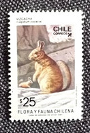 CHILI Lapins, Lapin, Rabbit, Conejo. 1 Valeur Dentelée Emise En 1987. ** Neuf Sans Charnière - Lapins