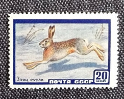 RUSSIE - Ex URSS Lapins, Lapin, Rabbit, Conejo. 1 Valeur Dentelée ** Neuf Sans Charnière - Rabbits