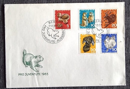 SUISSE Lapins, Lapin, Rabbit, Conejo. Pro Juventute 1965 Fdc, Premier Jour . Yvert 759/63 - Rabbits