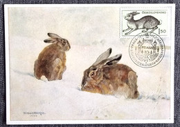 TCHECOSLOVAQUIE Lapins, Lapin, Rabbit, Conejo. Yvert N° 824 Carte Maximum, FDC, Premier Jour 1955 - Hasen