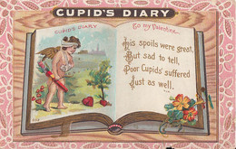 3473 – Cupid’s Diary – Man To Man Valentine - To Donald From James – Cherub - Embossed – Vintage - Slightly Damaged - Saint-Valentin