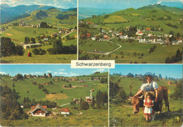 Postcard Switzerland Kurort Schwarzenberg Multi View - Schwarzenberg