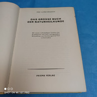 Prof. Alfred Brauchle - Das Grosse Buch Der Naturheilkunde - Santé & Médecine