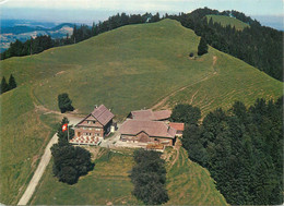 Postcard Switzerland Alp Scheidegg Schnyder - Steuble Wald ZH - Wald