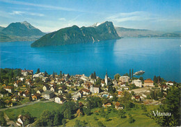 Postcard Switzerland Vitznau Am Vierwaldstattersee 1974 - Wald