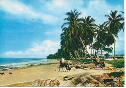 Afrique. CPM. République Du Gabon. Libreville. Bord De Mer (animée) - Gabon