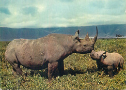 Animal Postcard Elephant Faune Africaine Rhinoceros - Rhinocéros