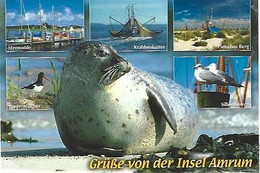 Germany & Marcofilia, Grüsse Von Der Insel Amrum, Multi, York England 2008 (7979) - Souvenir De...