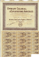 Titre De 1926 - Omnium Colonial D'Exploitations Agricoles - - Africa