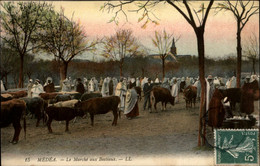 ALGERIE - MEDEA - Le Marché Aux Bestiaux - Médéa
