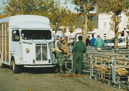 LE MARCHE AUX MOUTON     TUBE  CITROEN - Bussiere Poitevine