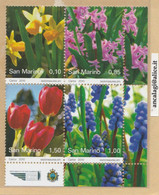 RSM F.lli Nuovi 0448 - San Marino 2010 - "FIORI" Blocco Di 4v.** - - Unused Stamps