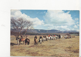 CAIRNGORMS, Trekking En Poney, Groupe De Chevaux, Ed. J.Arthur Dixon 1980 Environ - Inverness-shire