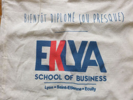 Sac En Tissu - Tote Bag - School Of Business EKLYA - Autres & Non Classés