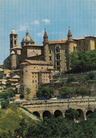 CARTOLINA  URBINO,MARCHE,PALAZZO DUCALE-I TORRICCINI (sec.XV)-STORIA,MEMORIA,CULTURA,IMPERO ROMANO,VIAGGIATA 1984 - Urbino