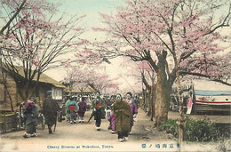 -pays Div.-ref-BB933- Japon - Japan - Tokyo - Mukojima - Cherry Blossom - - Tokyo