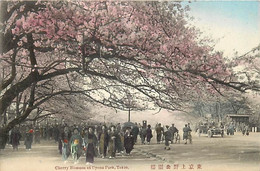-pays Div.-ref-BB932- Japon - Japan - Tokyo - Cherry Blossom At Uyeno Park - - Tokyo
