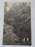 ANTIQUE POSTCARD SÃO TOME E PRINCIPE - RIO AGUA GRANDE VISTA TIRADA DA ESTRADA DA TRINDADE UNUSED - Sao Tome En Principe