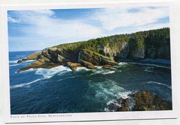 AK 106464 CANADA - Newfoundland - Küste Bei Pouch Cove - Sonstige & Ohne Zuordnung