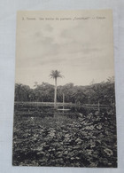 ANTIQUE POSTCARD SÃO TOME E PRINCIPE - UM TRECHO DO PANTANO " CONCEIÇÃO " - CIDADE UNUSED - Sao Tome And Principe