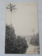 ANTIQUE POSTCARD SÃO TOME E PRINCIPE - UMA PALMEIRA UNUSED - Sao Tome En Principe