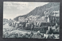 Gruss Vom Sanatorium Wald (900 M) Gestempelt 1917 - Wald