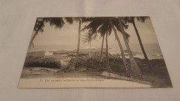 ANTIQUE POSTCARD SÃO TOME E PRINCIPE - UM COQUEIRO SOLITARIO NA ROÇA PORTO ALEGRE UNUSED - Sao Tome Et Principe