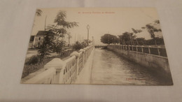 ANTIQUE POSTCARD SÃO TOME E PRINCIPE - AVENIDA PEREIRA DE MIRANDA UNUSED - Sao Tome And Principe