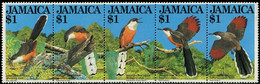 JAMAICA 1982 - SG #565-569 MNH ** - STRIP OF 5 STAMPS : JAMAICAN LIZARD CUCKOO - COUCOU-LÉZARD DE LA JAMAÎQUE - Cuckoos & Turacos