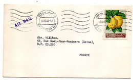 LIBAN -1963 --lettre BEYROUTH  Pour NANTERRE- 92 (France)..timbre (fruit)  Seul Sur Lettre , Beau Cachet Mécanique - Libano