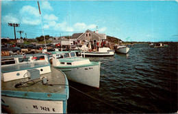 Massachusetts Cape Cod Chatham Fish Pier - Cape Cod