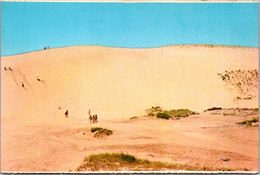 Massachusetts Cape Cod National Seashore Sand Dunes - Cape Cod